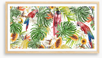 Papaya parrots