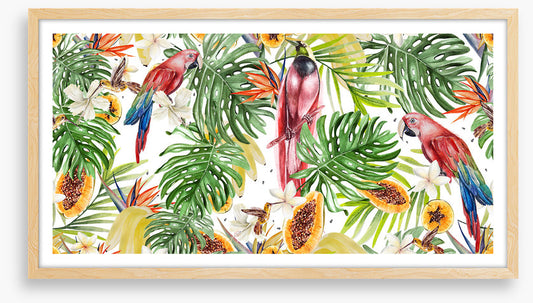 Papaya parrots
