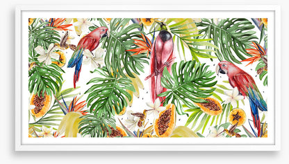Papaya parrots