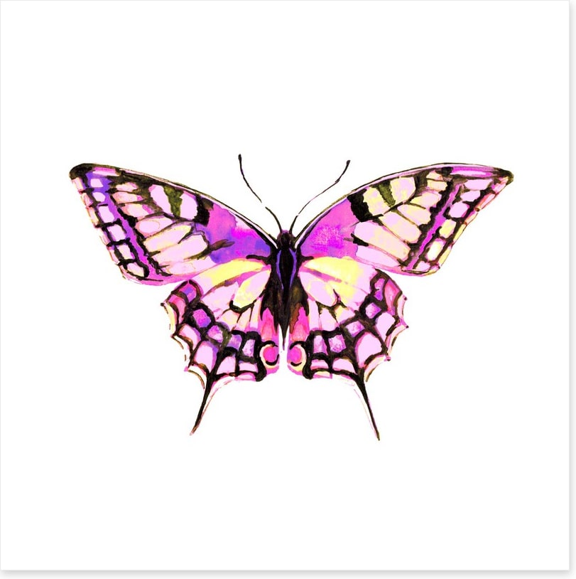 Pink wings