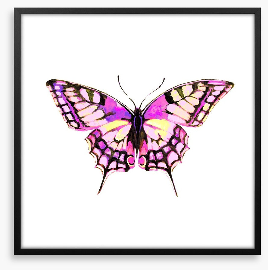 Pink wings
