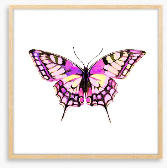 Pink wings