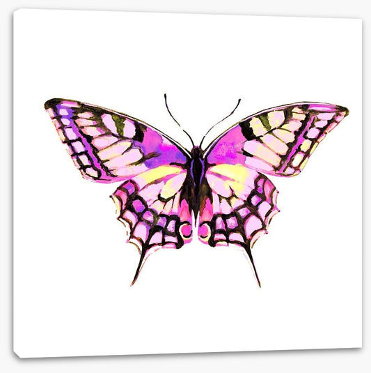 Pink wings
