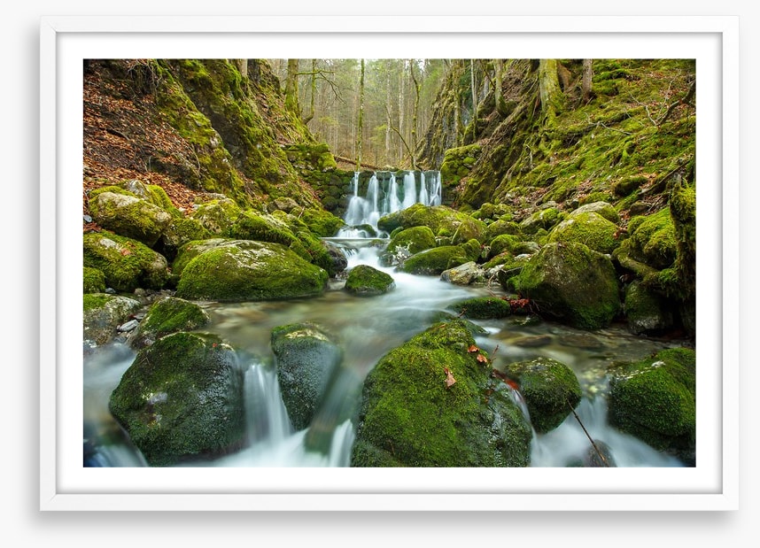 Over the moss