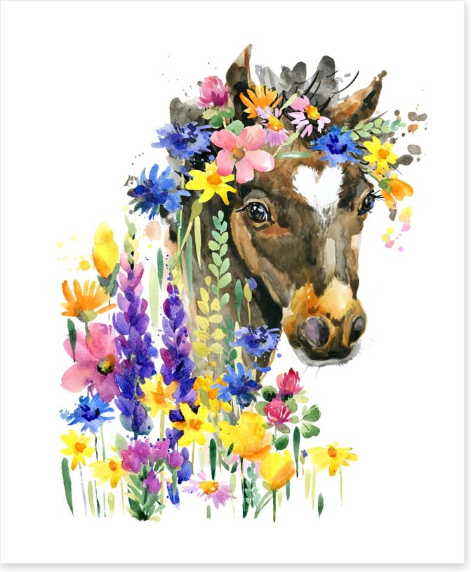 Wildflower pony