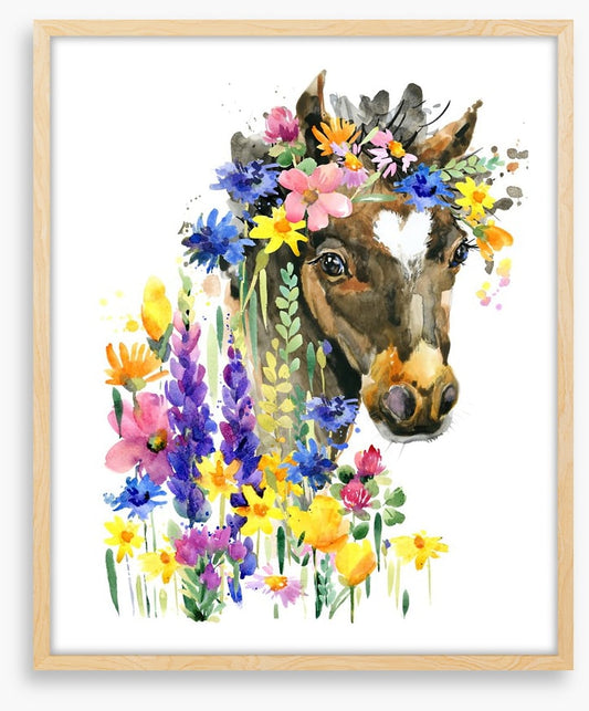 Wildflower pony