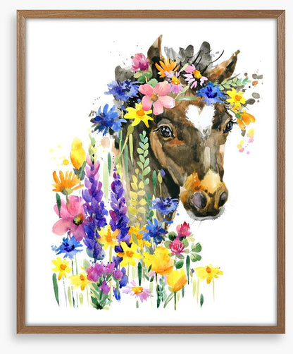 Wildflower pony