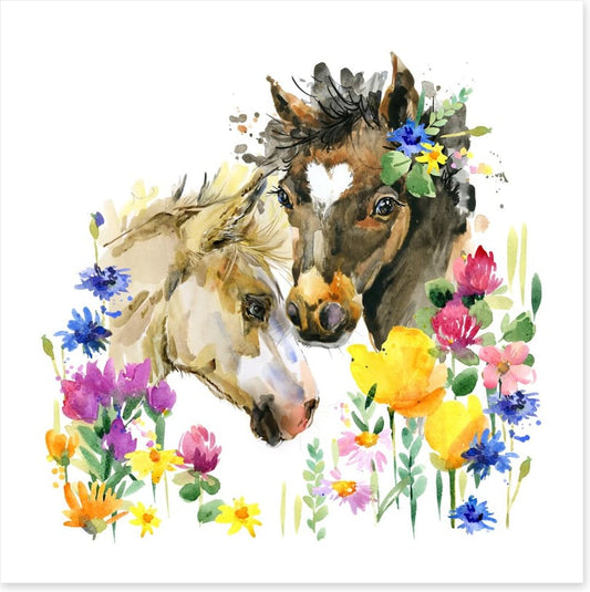 Wildflower foals