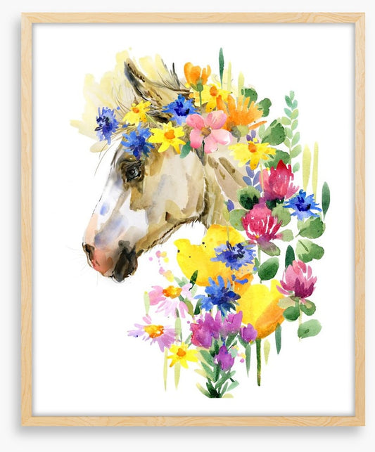 Spring steed