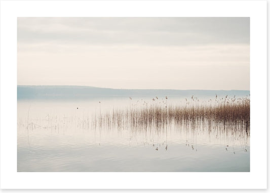 Lakeside mist