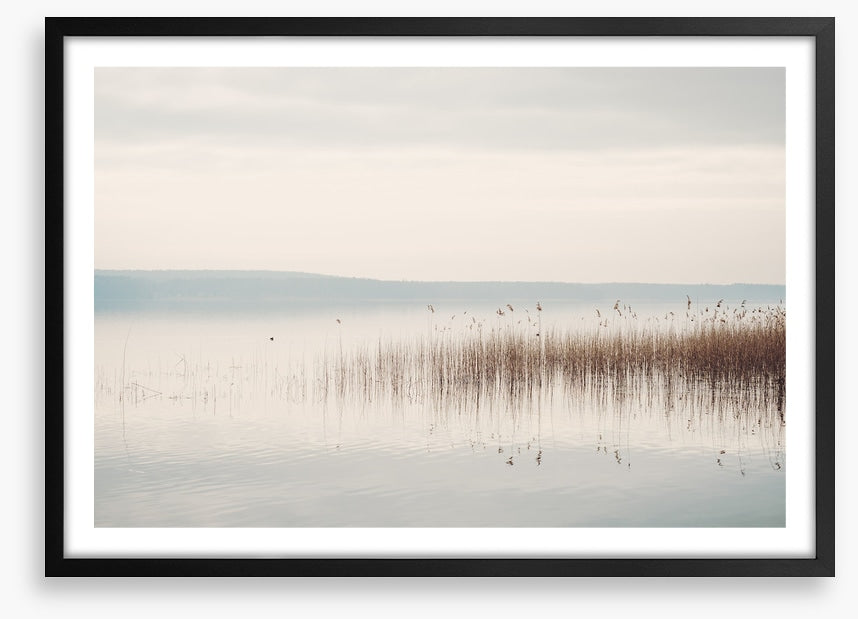 Lakeside mist