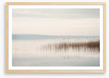 Lakeside mist
