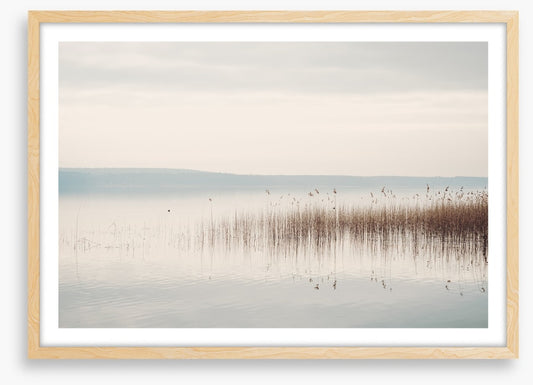 Lakeside mist