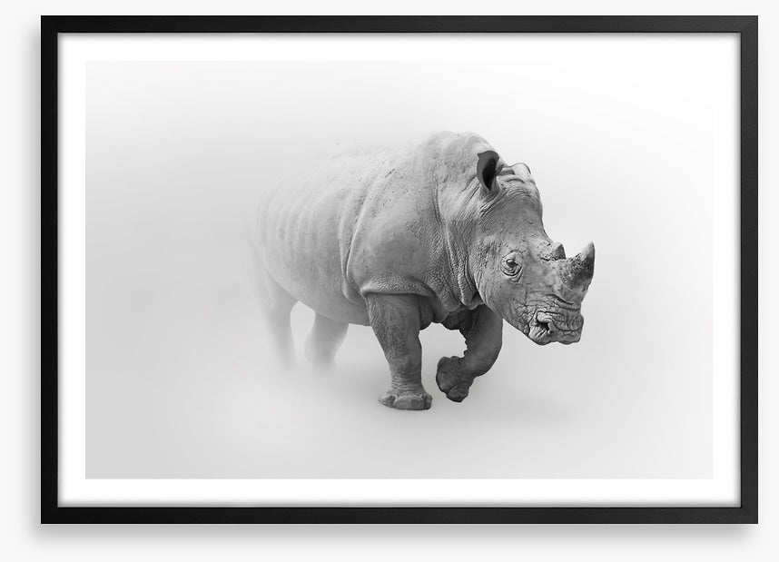 Rhino from the mist