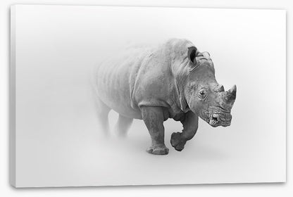 Rhino from the mist