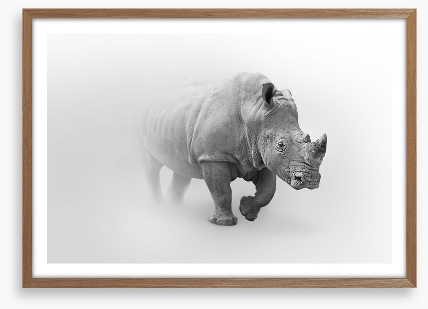 Rhino from the mist