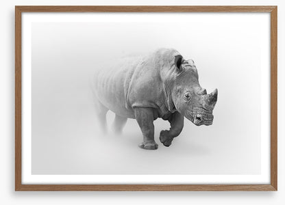 Rhino from the mist