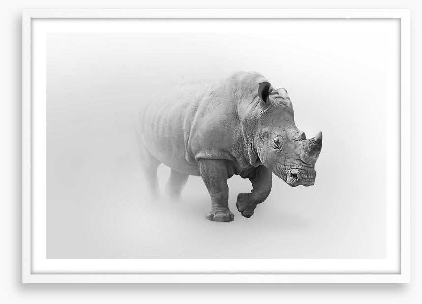 Rhino from the mist