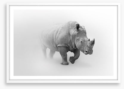 Rhino from the mist