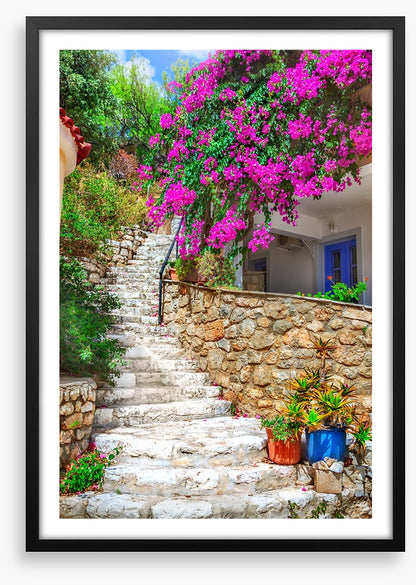 The bougainvillea steps