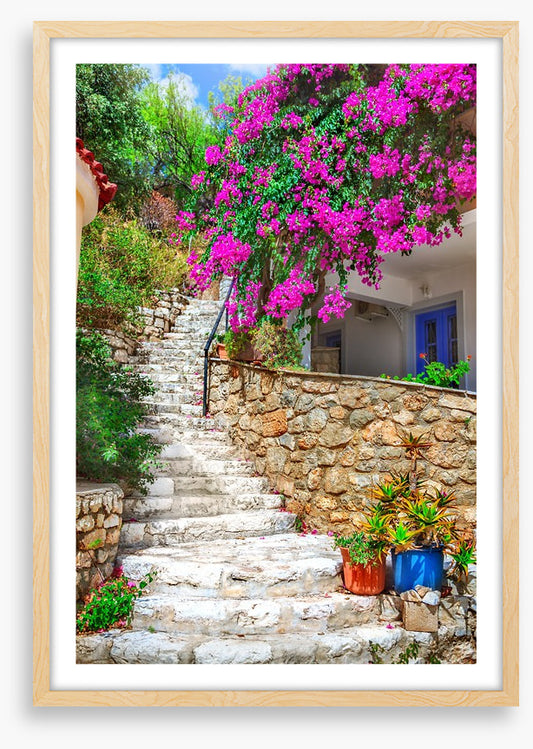 The bougainvillea steps