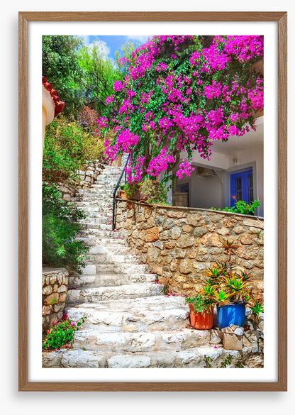 The bougainvillea steps