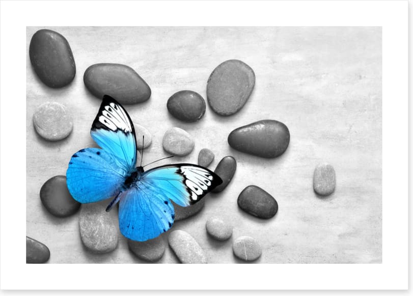 Blue butterfly stones