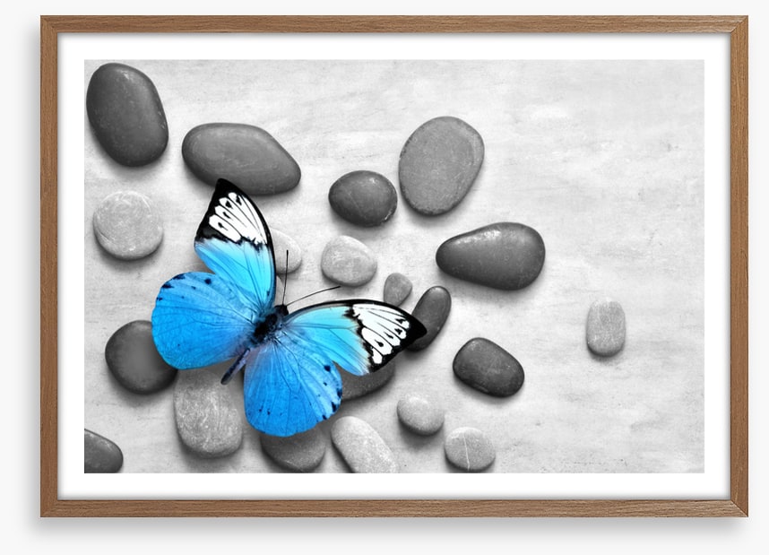 Blue butterfly stones