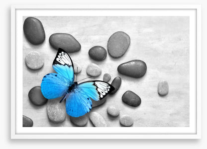 Blue butterfly stones