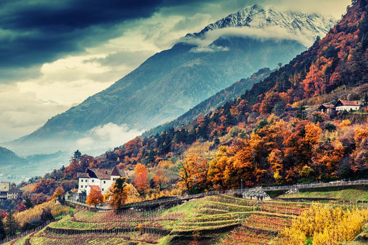 Mountains