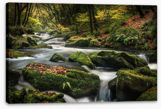 Flowing through fall