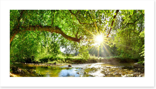 Idyll interlude