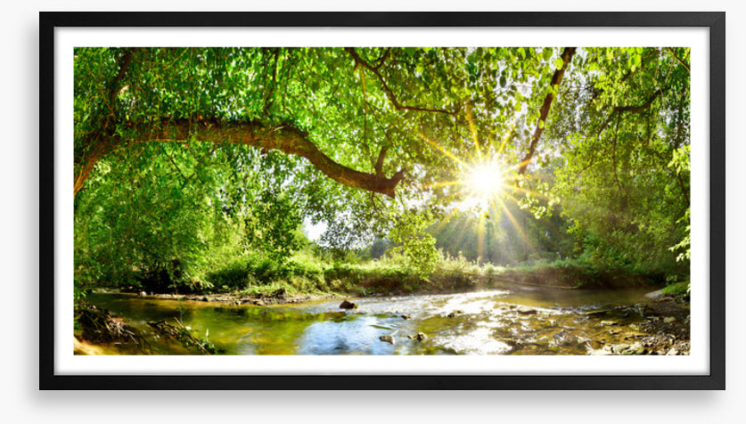 Idyll interlude
