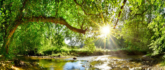 Idyll interlude
