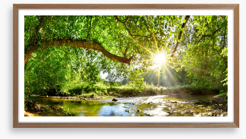 Idyll interlude