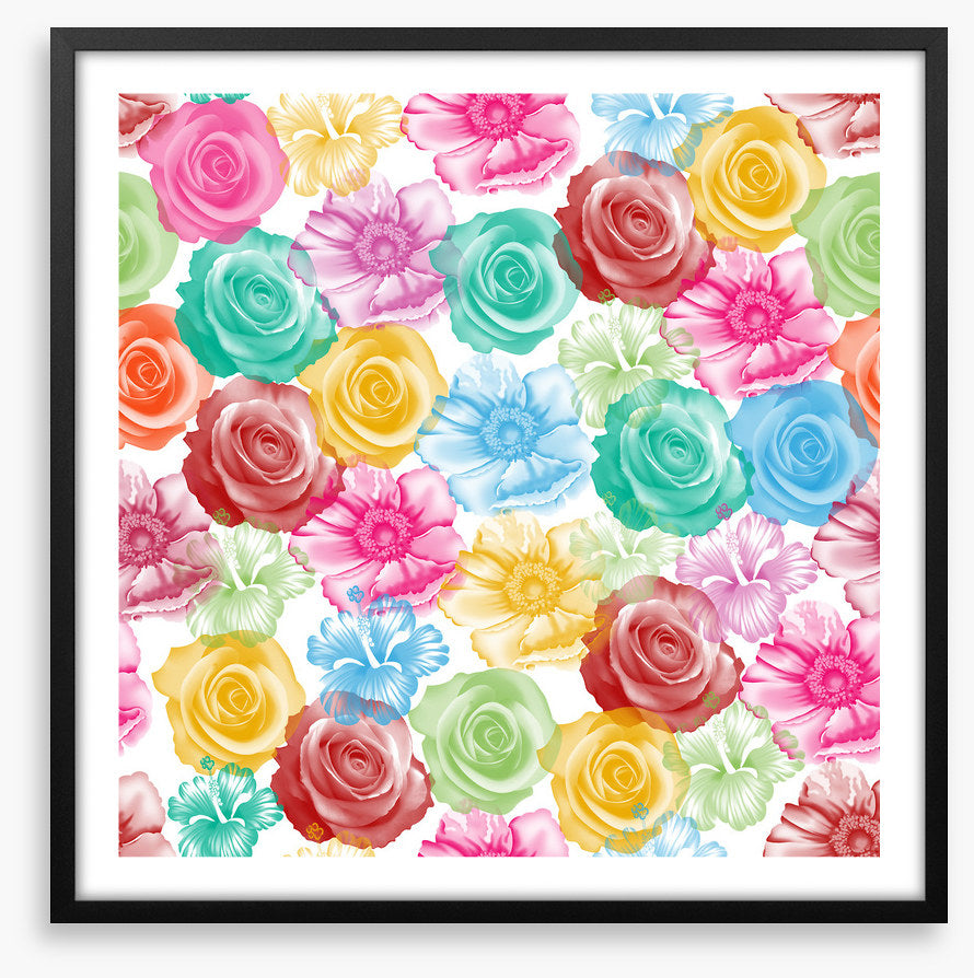 Rainbow of roses