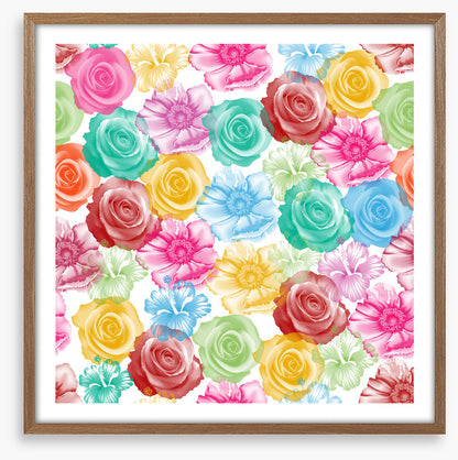 Rainbow of roses