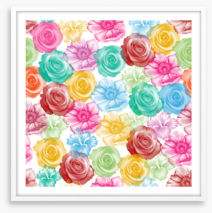Rainbow of roses