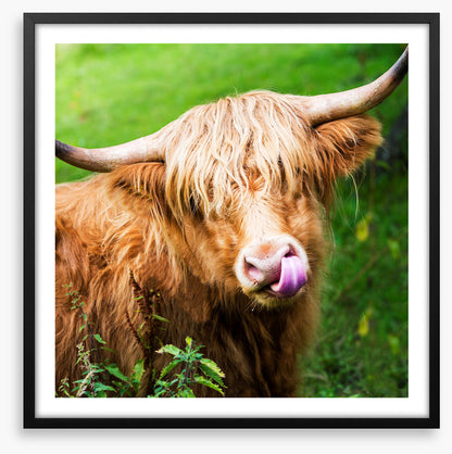 Fringe benefits
