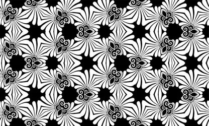 Black and White