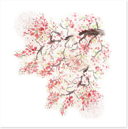 Spring sakura blossom