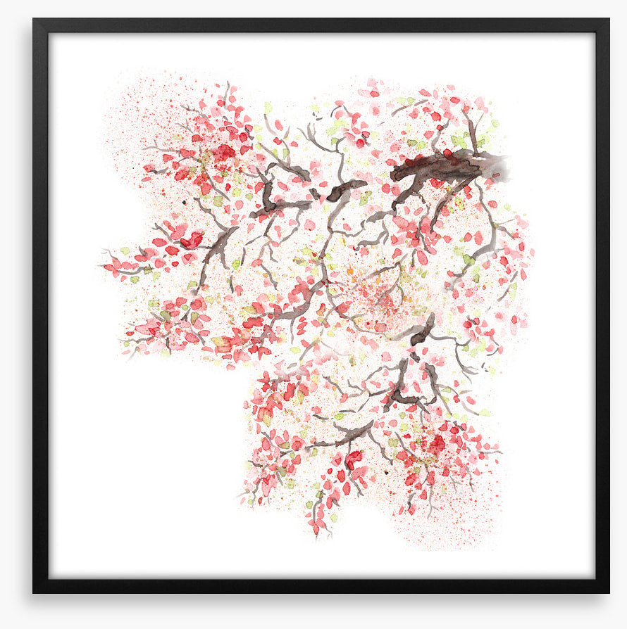 Spring sakura blossom