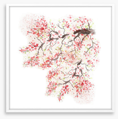 Spring sakura blossom