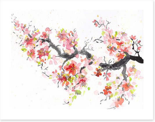 Spring sakura bloom