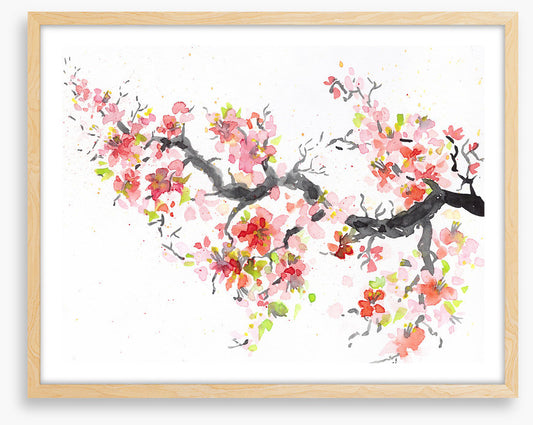 Spring sakura bloom