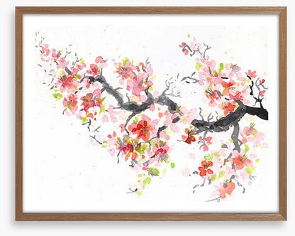 Spring sakura bloom