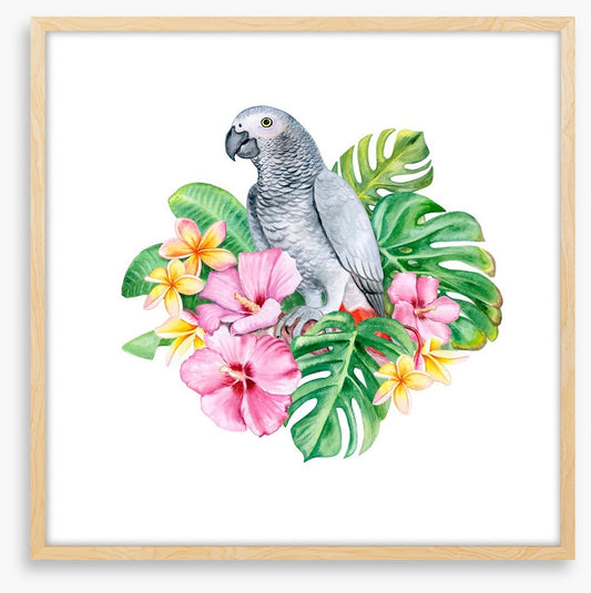 Parrot in the plumeria