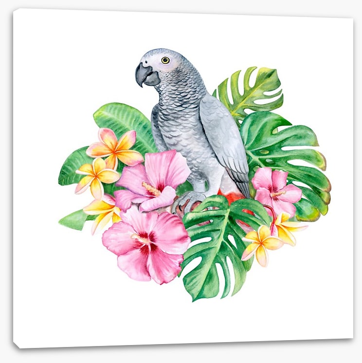 Parrot in the plumeria