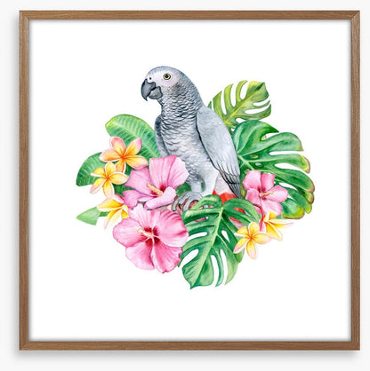 Parrot in the plumeria