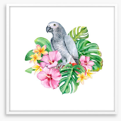 Parrot in the plumeria